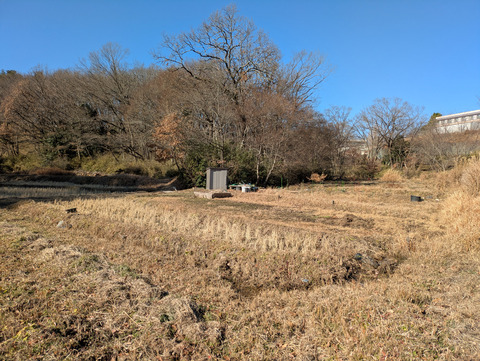 PXL_20260101_031136825