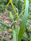 PXL_20260604_033533813