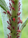 PXL_20260621_091158530