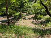 PXL_20260518_015639763