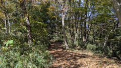 PXL_20251115_024806742