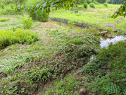 PXL_20260624_032111981