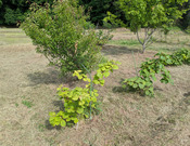 PXL_20260527_225935365