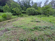 PXL_20260612_031744003