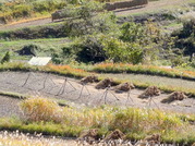 DSC09076