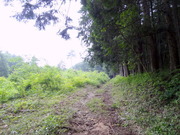 DSC01160