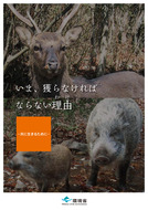 いま、獲らなければならない理由_1