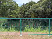 PXL_20260731_041528296