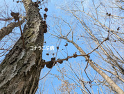 PXL_20260301_030413025