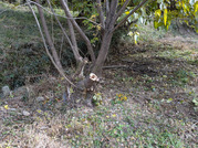 PXL_20251123_022151955