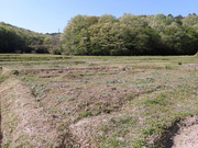 P4090006