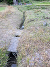 PXL_20260509_085340575