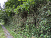 PXL_20260726_033008459