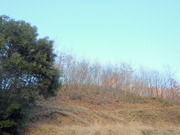 DSCN1173
