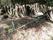 P5090005