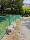 PXL_20260726_020733651