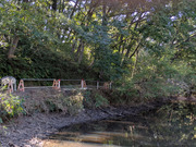 PXL_20251023_035313957