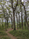 PXL_20260523_035014190