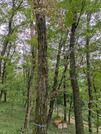 PXL_20260718_063108382