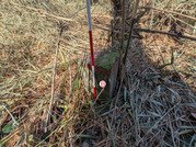 PXL_20260131_025424831