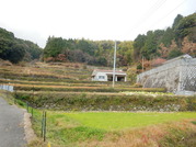 DSCN1531