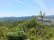 PXL_20260511_030400132