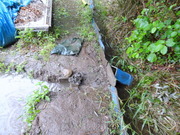 DSC09737