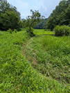 PXL_20260717_030225787