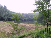 DSC01163
