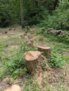 PXL_20260606_012702404