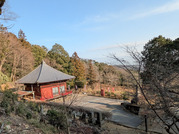 PXL_20260119_052338221