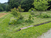 PXL_20260508_040304403