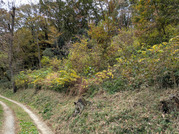 PXL_20251117_235639524