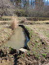 PXL_20260304_013155944