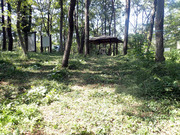 P9060033