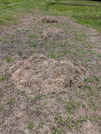 PXL_20260415_020048004