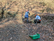 PXL_20260116_012429335