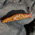 PXL_20260206_024105052