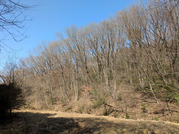 PXL_20260301_040701500