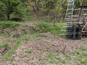 PXL_20260415_021313163