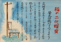 蛍光誘蛾灯をつけませう