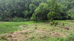 PXL_20260508_024412472