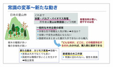 ●早生樹（黒田）_11