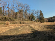 PXL_20260116_035043168