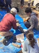 シイタケ駒打ち 324_190325_0020