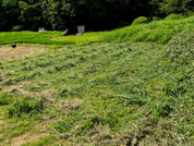 PXL_20260731_051635642