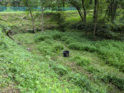 PXL_20260804_040219049