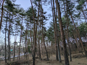 PXL_20251222_053240049