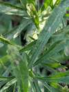 PXL_20260729_082227892
