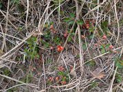 PXL_20260325_014141620